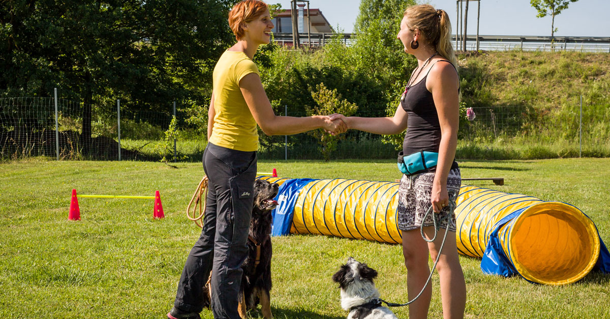 Social Video für Hundeschule Akademie Hund, Regensburg